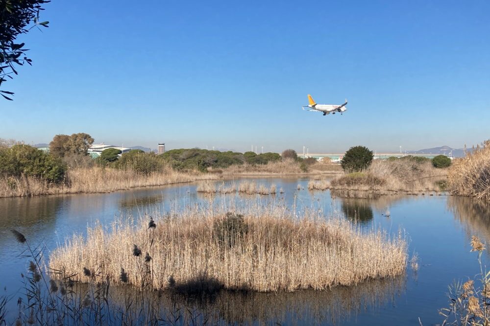 complejo hotelero aeropuerto el prat