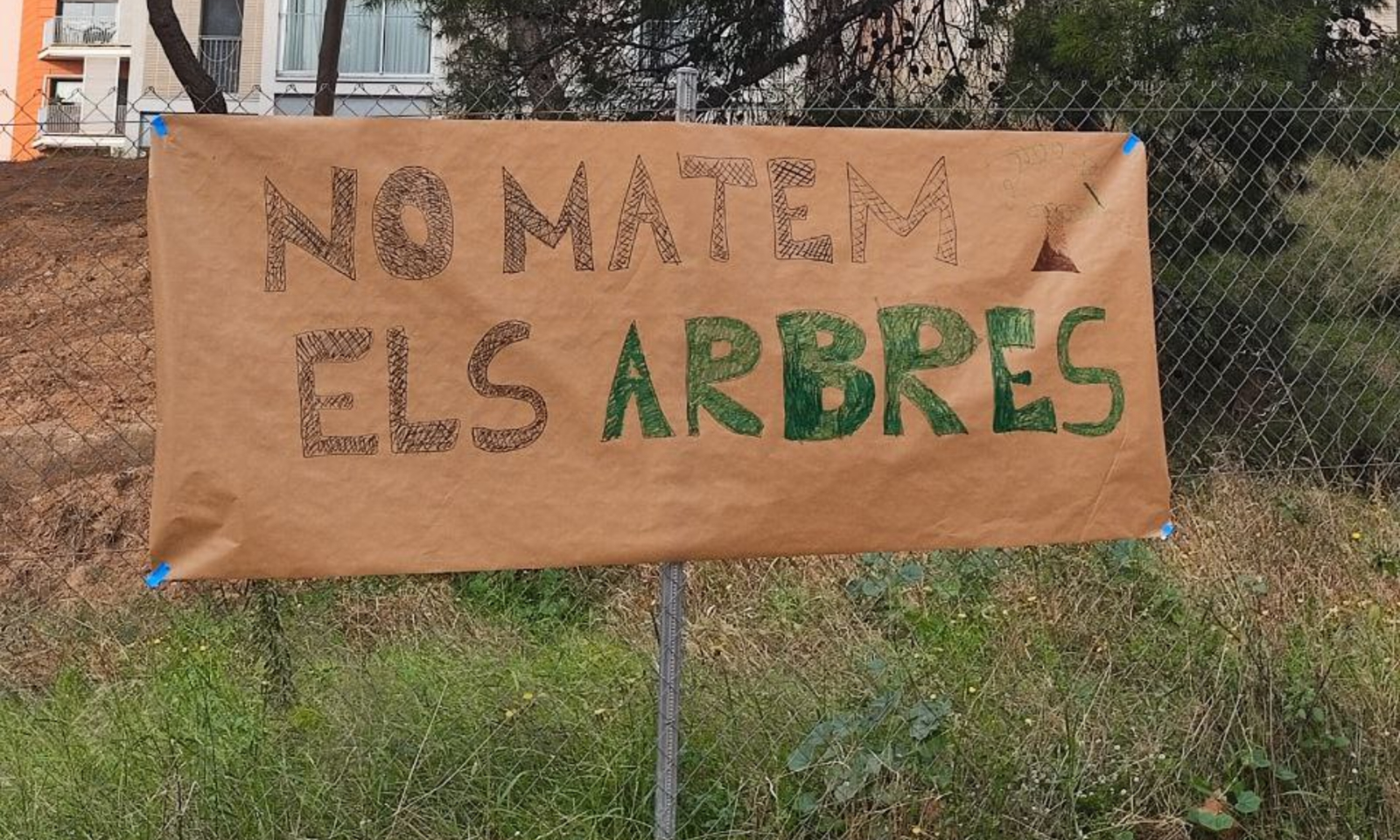 Las vecinas de Nou Barris reclaman preservar los pinos históricos de la Torre del Rellotge