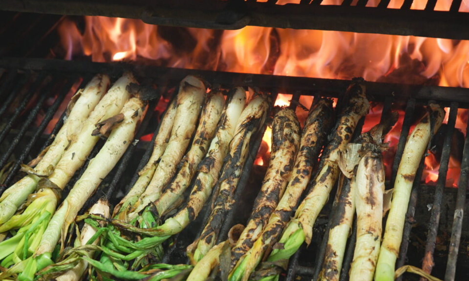 Un año más Nou Barris se vuelca con las calçotades populares